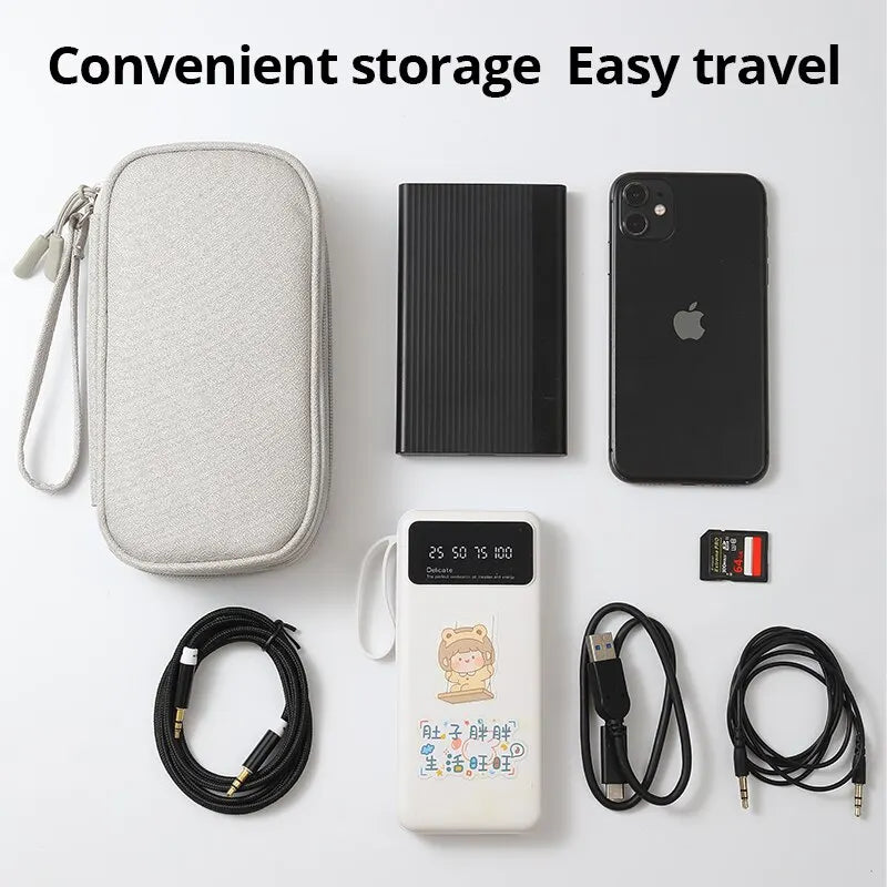 Portable Digital Storage Organizer